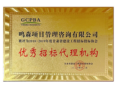 2018-2019优秀招标代理机构